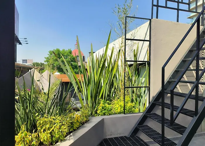 Flats Friends Condesa-pelotari