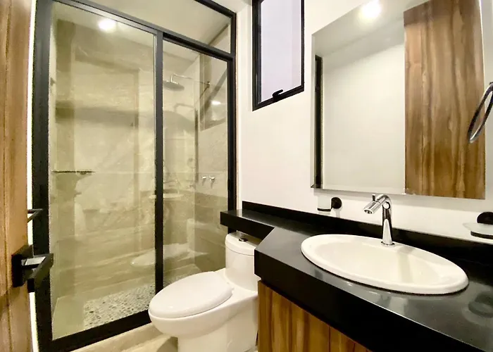 Flats Friends Condesa-pelotari *