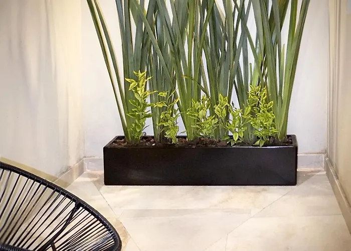 Flats Friends Condesa-pelotari Apartment